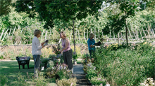 People in a garden